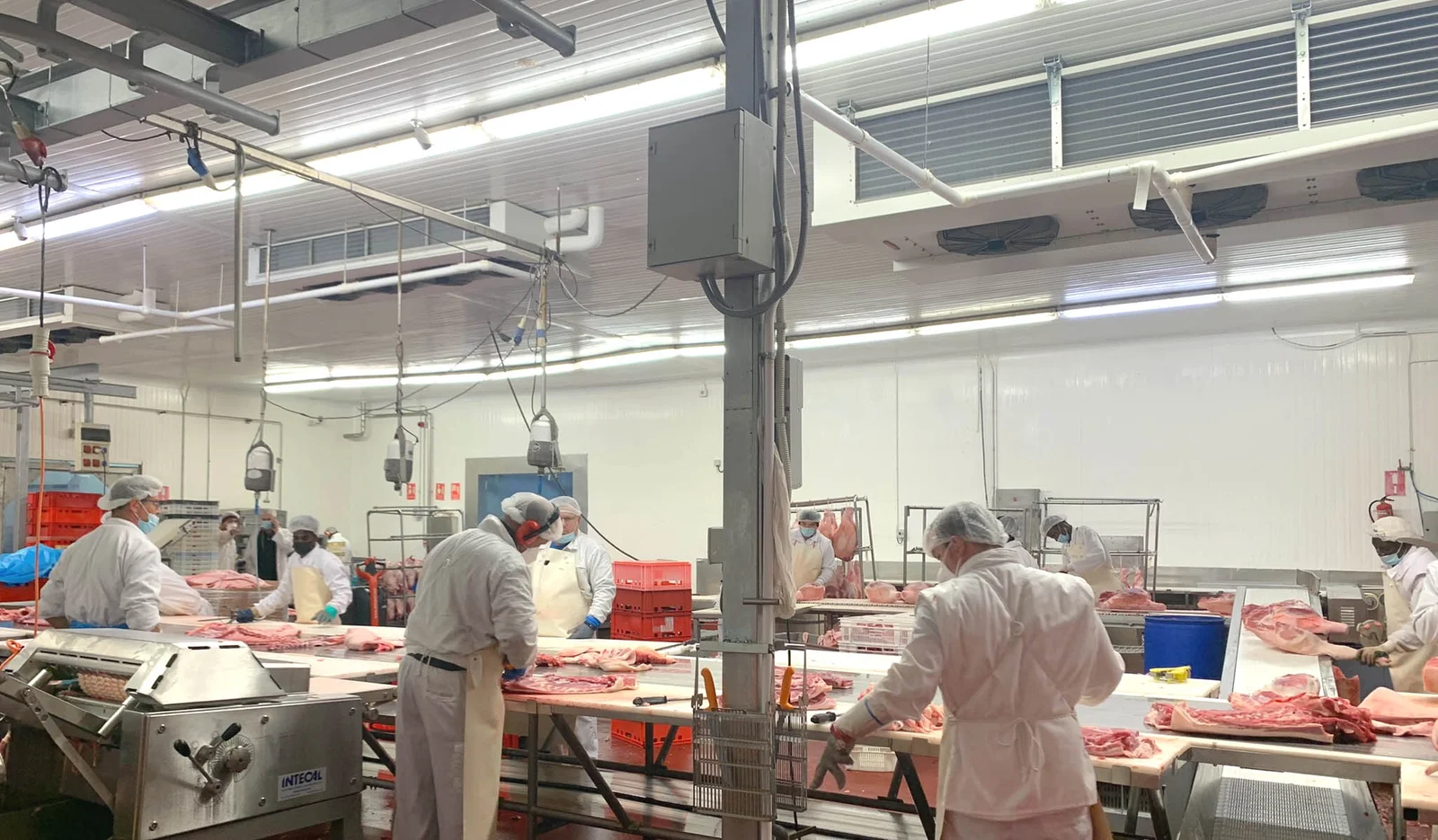Secaderos y cámaras para la industria cárnica. - proyecto Isofred