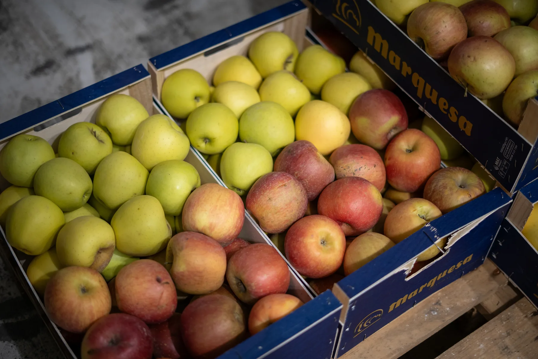 Cámaras frigoríficas para fruta y postcosecha. - proyecto Isofred