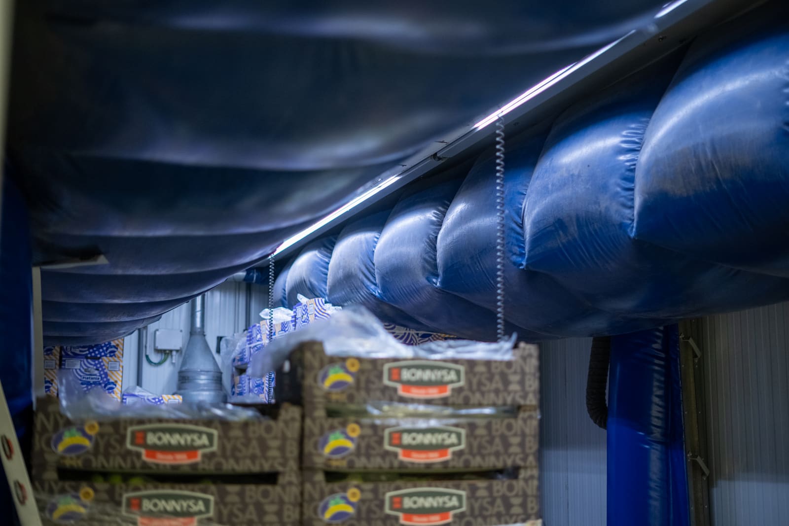 Galan World - Distribución Frigorífica y Maduración de Plátano