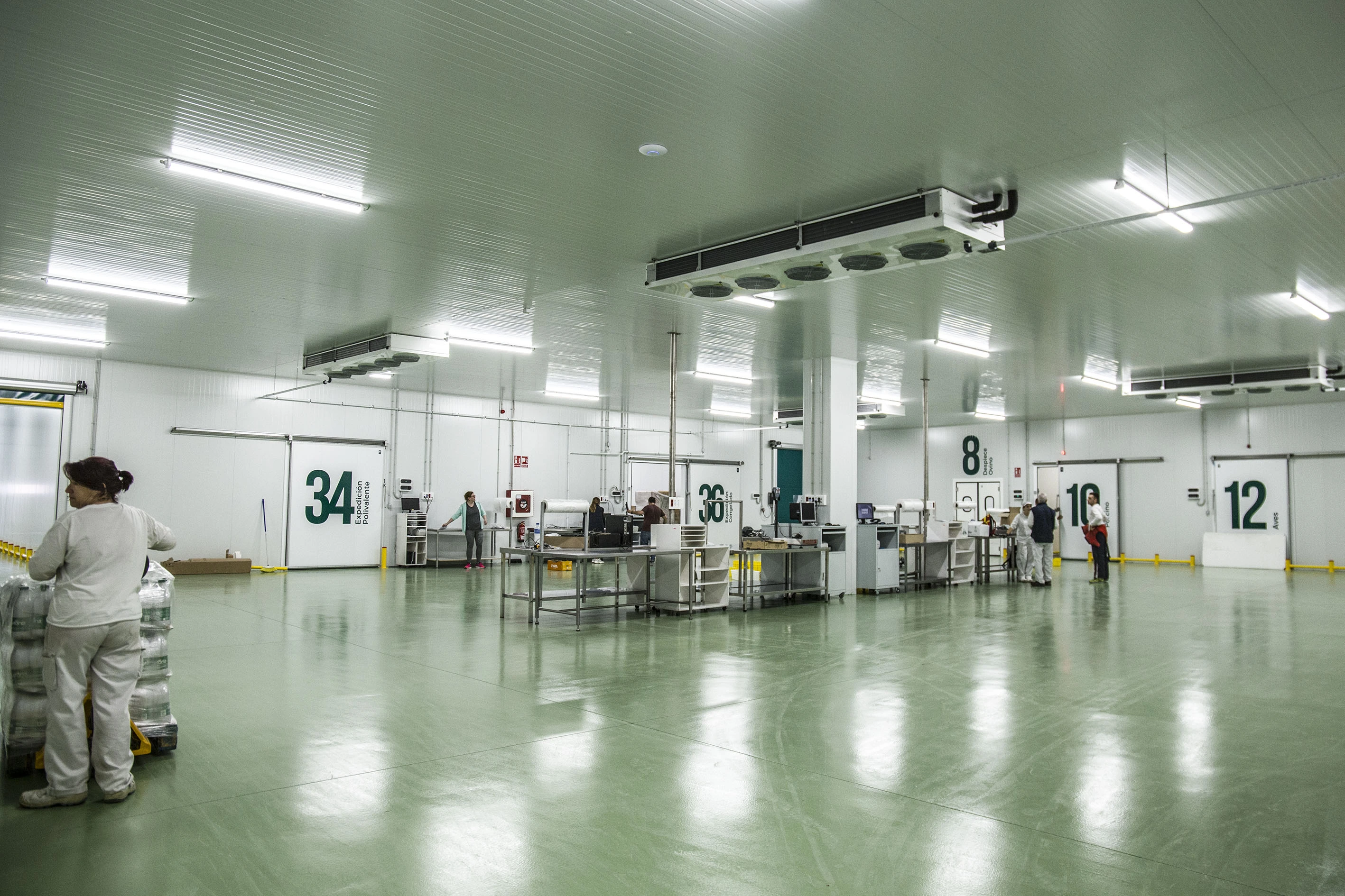 Copima - Centro Logístico y Maduración de Carne